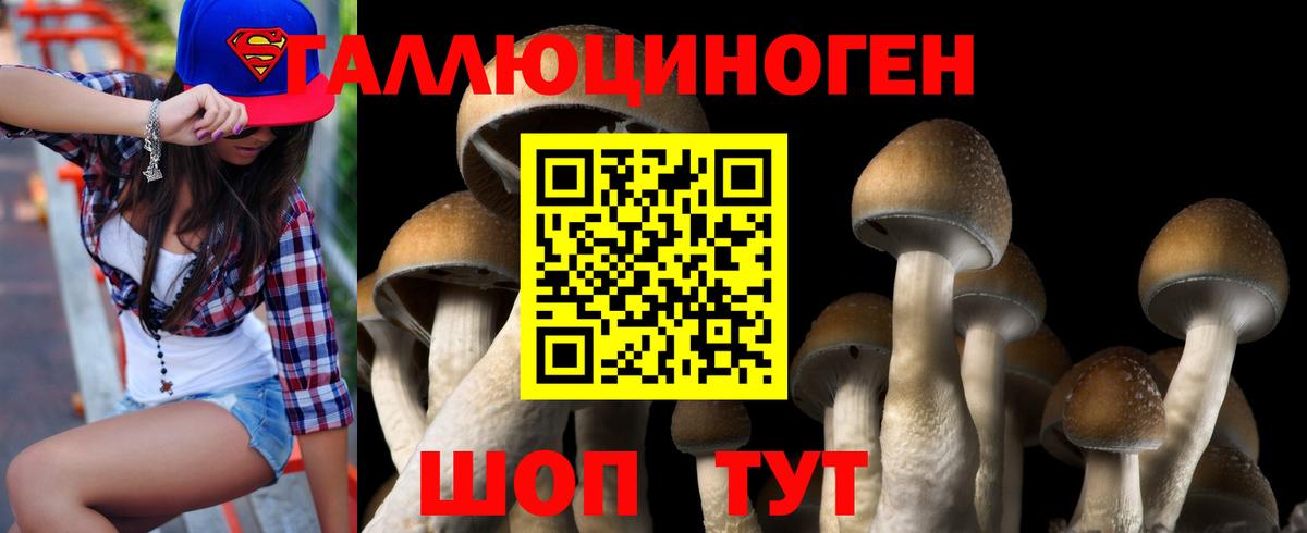 Жуковский  Галлюциногенные грибы ЛСД  Псилоцибиновые грибы прущие грибы  наркошоп  Вход с VPN 